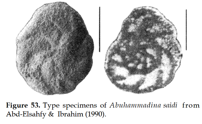 Abuhammadina saidi Abd-Elshafy &amp; Ibrahim, 1990