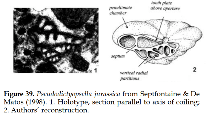 Pseudodictyopsella jurassica Septfontaine &amp; De Matos, 1998