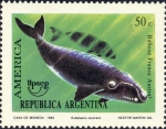 Mammalia