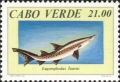 Lamniformes