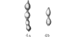Dentalina soluta Reuss, 1851