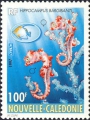 Syngnathiformes