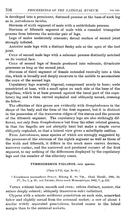 p. 708 Tymbodesmus figlinus