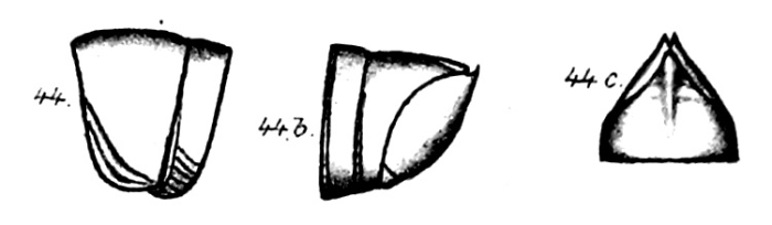 Original description Odontopyge trivialis Porat, 1894