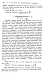 Original description Odontopyge accincta Porat, 1894