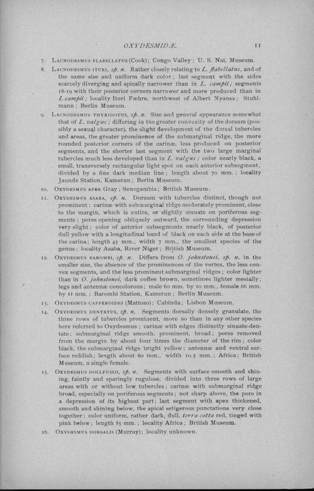 Orignal DEscription p. 11 Lacnodesmus ituri Cook, 1896