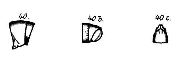 Original description figs. 40-40c Spirostreptus atratus Porat, 1894