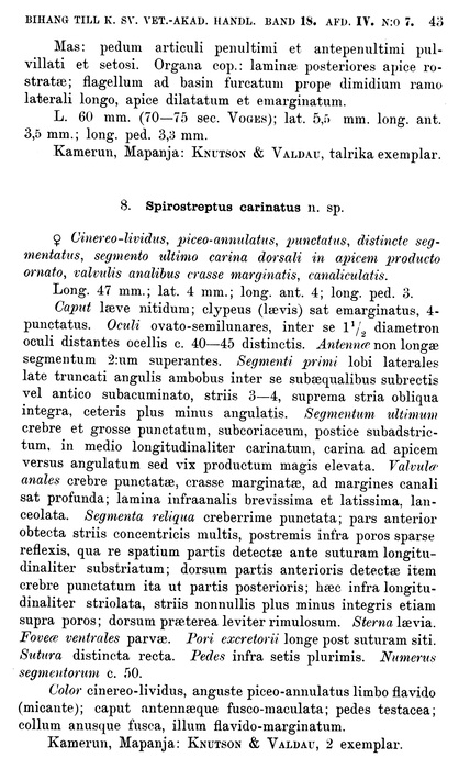 Original description p. 43 Spirostreptus carinatus Porat, 1893