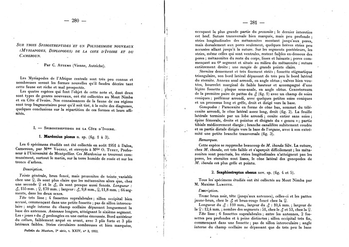 Original description p. 280-281 Mardonius piceus Attems, 1952