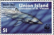 Isurus oxyrinchus, author: Collection Georges Declercq