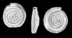 Turrispirillina (?) margaritiana McCulloch, 1981