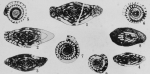 Fusulinella fugax Thompson, 1948