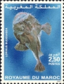Lophiiformes