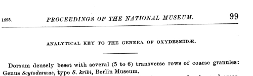 Original description Scytodesmus kribi p. 99