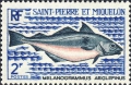 Gadiformes