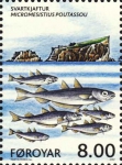 Gadiformes