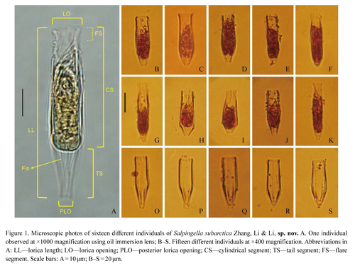 From Zhang et al. 2025