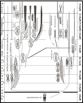 Archaediscoidea Taxonomy and Phylogeny