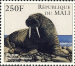 Mammalia