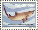 Lamniformes