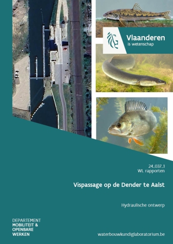 Vispassage op de Dender te Aalst: hydraulisch ontwerp