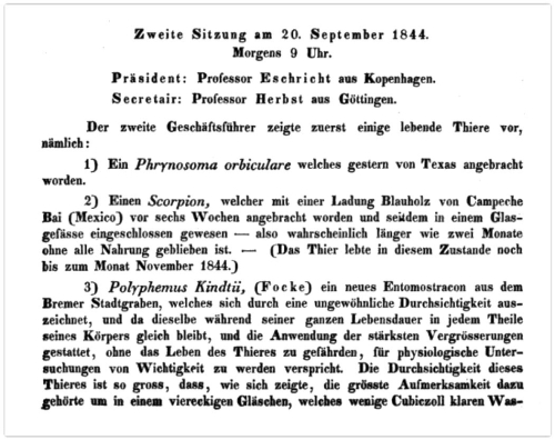 Orig. description