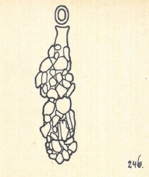 Nodobacularia fusca Wiesner, 1923