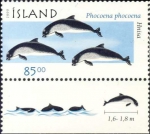 Mammalia