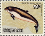 Mammalia