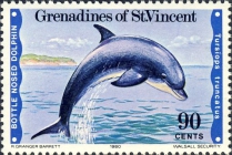 Tursiops truncatus