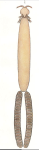 Hatschekia cornigera