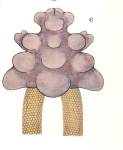 Chondracanthus ornatus