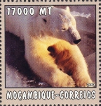 Mammalia
