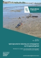 Hydrodynamische belasting van scheepsgolven op intergetijdengebied: resultaten en analyse van grootschalige meetcampagne naar de effecten van de Waterbus