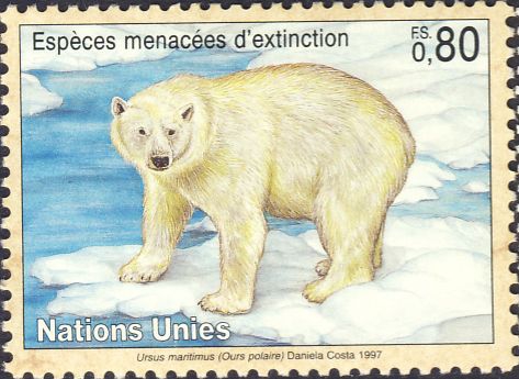 Ursus maritimus