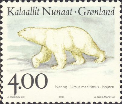 Ursus maritimus