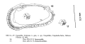 Coquimba fornicata Ohmert, 1968 from the original description