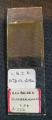 Fasuberea quadrangulataSlide Holotype 