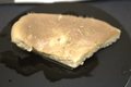 Holotype HBOM 003:02000