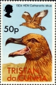 Stercorarius antarcticus hamiltoni, author: Collection Georges Declercq
