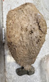 Vazella with stone
