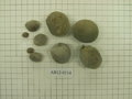 Lot of samples including holotype