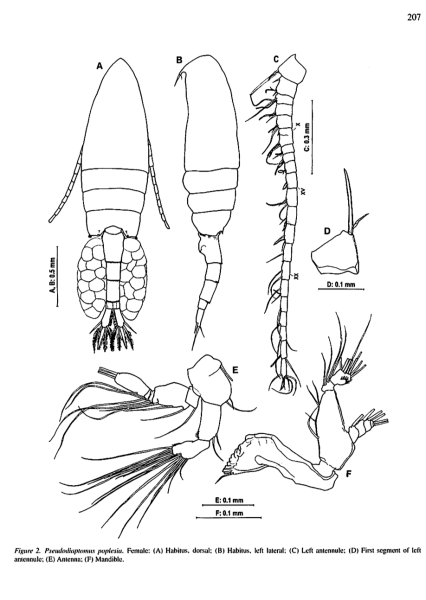poplesia F Soh etal 2001