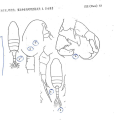 Pseudodiaptomus annandalei Sewell, 1919