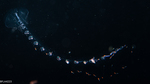Lilyopsis problematica