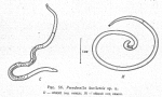 original description