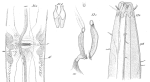 original description