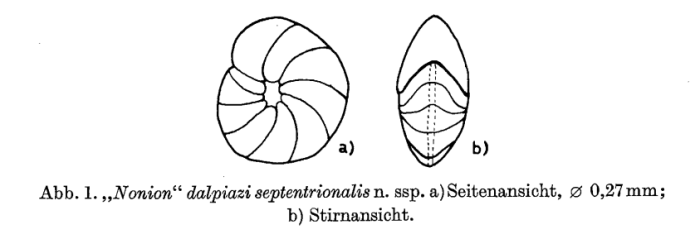 "Nonion" dalpiazi subsp. septentrionalis Langer, 1964