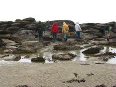 SWG excursies