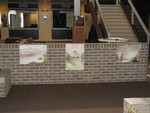 dendermonde12